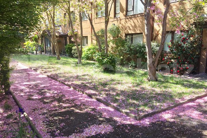 Highly desirable development superbly located with beautiful private gardens  Nightingale House Hillyard Street , Stockwell/Oval